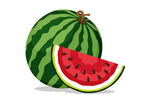 vector وکتور لایه باز هندوانه شب یلدا به همراه برش هنوانه زمینه ایزوله شده EPS